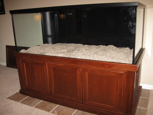 New Tank New Sand.JPG