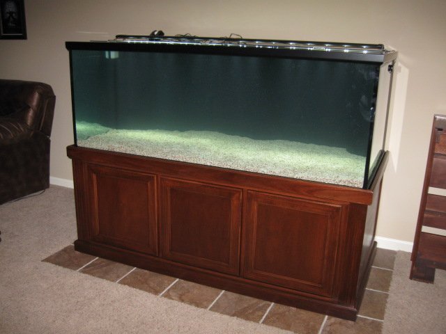 Full Of Water.JPG