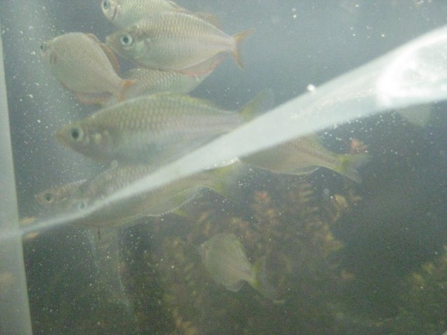 IMG_0012.JPG