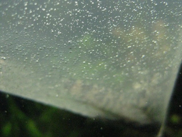 IMG_0010.JPG