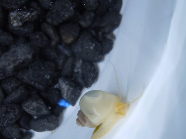 DSCN0851.JPG DSCN0851.JPG