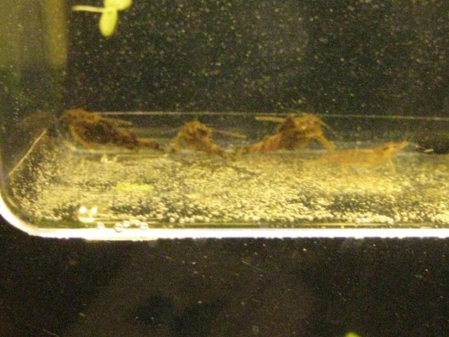 IMG_0006.JPG