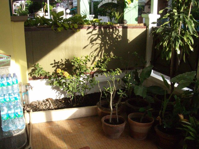 IMGP8513.jpg