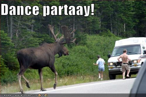 Dance Party.jpg