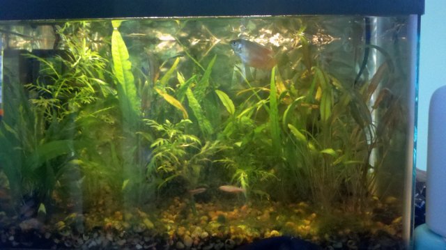 10g.jpg