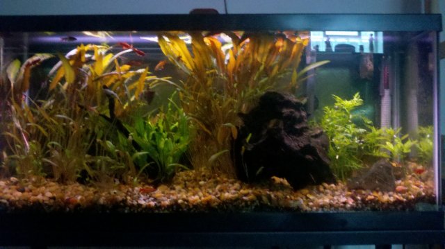 30g.jpg