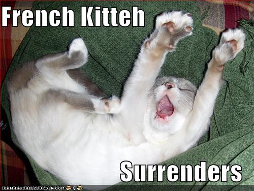 French Kitteh.jpg