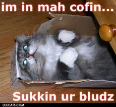 Vampire Cat.jpeg