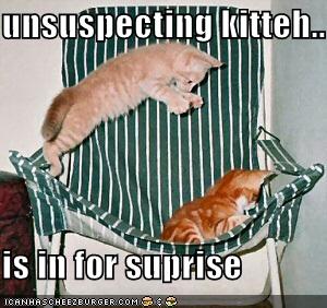 Unsuspecting Kitteh.jpg