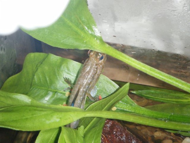 248478_105839616173167_100002413875307_55833_3328503_n.jpg 248478_105839616173167_100002413875307_55833_3328503_n.jpg