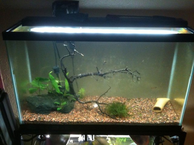 IMG_0329.jpg IMG_0329.jpg