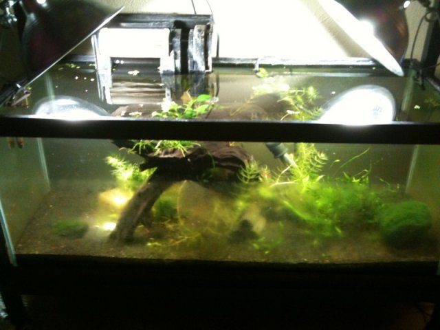 IMG_0330.jpg IMG_0330.jpg