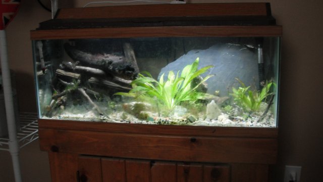 DSCF0471.JPG
