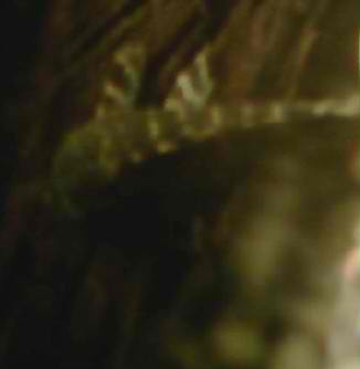 0109010911_0001[1].jpg