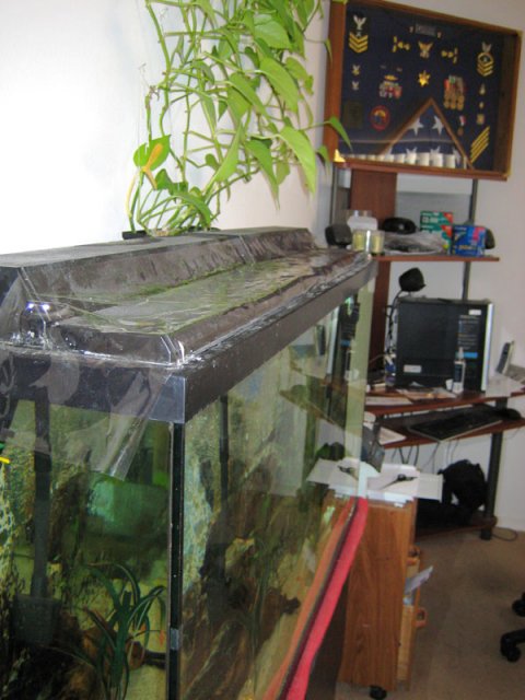 AQUA PLASTIC2 001.JPG