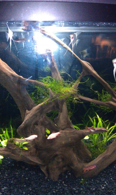 IMAG0015.jpg