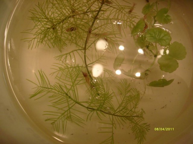 S7300940.jpg
