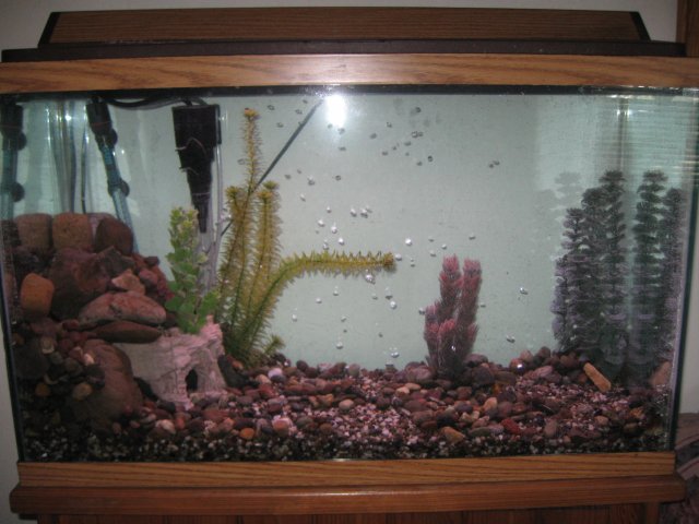 IMG_3660.JPG IMG_3660.JPG