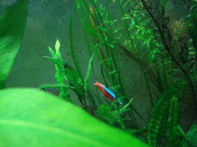 DSC03206.JPG