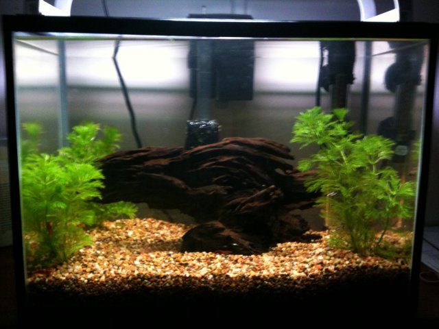 aquarium.jpg aquarium.jpg
