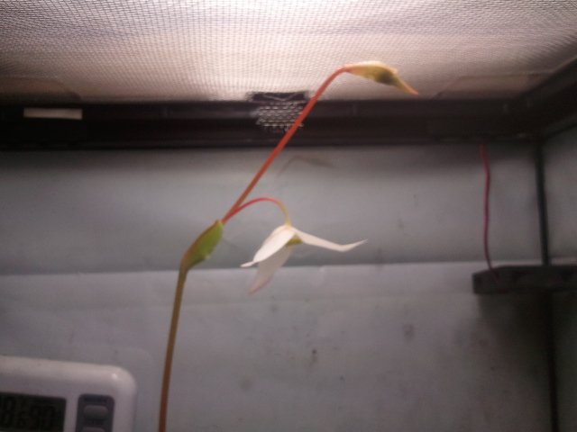 2011-06-08 13.49.02.jpg