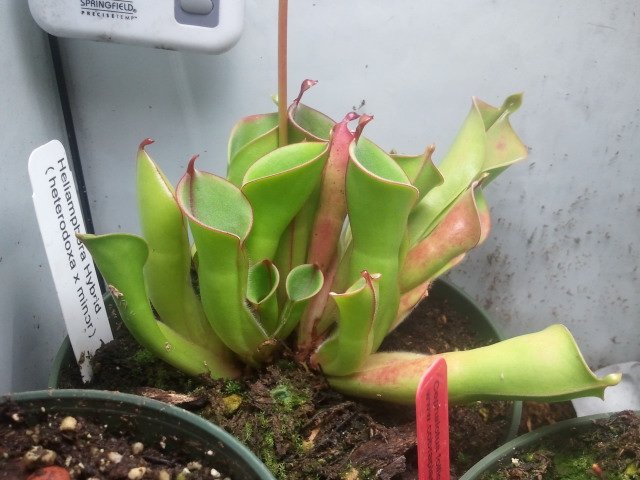 2011-06-08 13.48.50.jpg