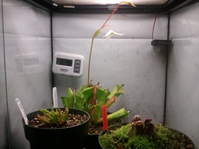 2011-06-08 13.49.14.jpg