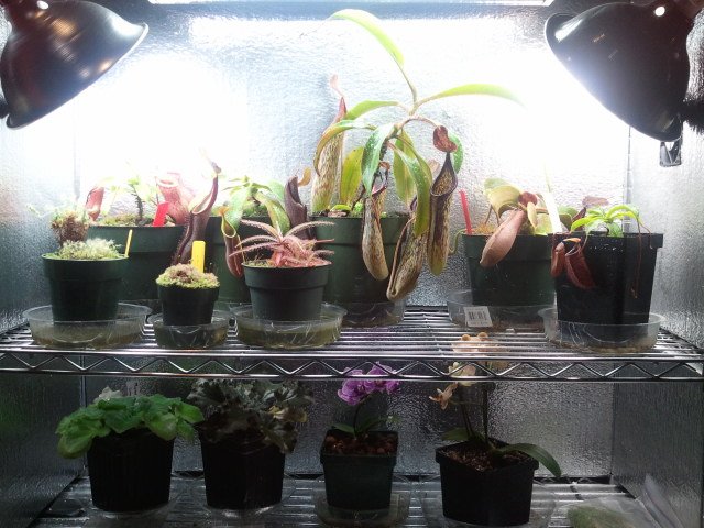 2011-06-14 09.29.19.jpg