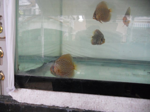 DSCN3422.jpg DSCN3422.jpg