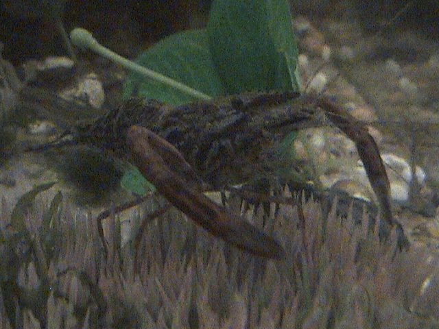 DSC00599.JPG