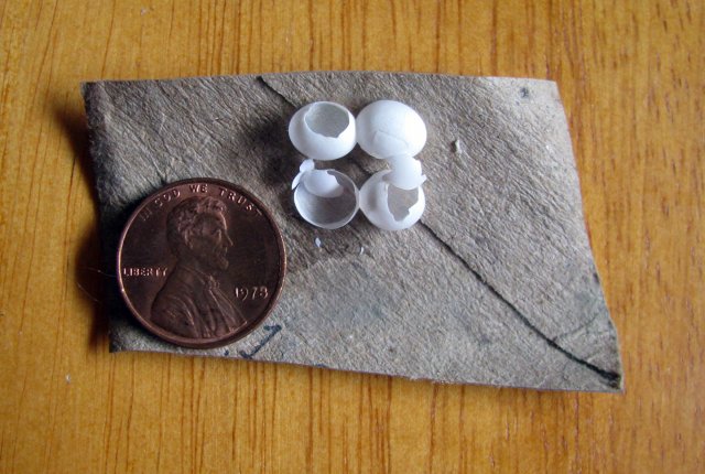 Lygo_Eggs.jpg Lygo_Eggs.jpg