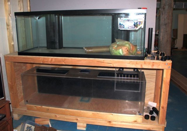 Tank 01.jpg