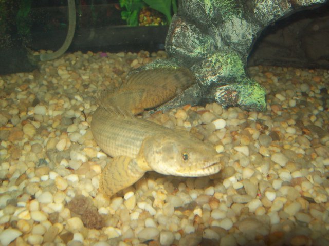 MY PICS 027.JPG