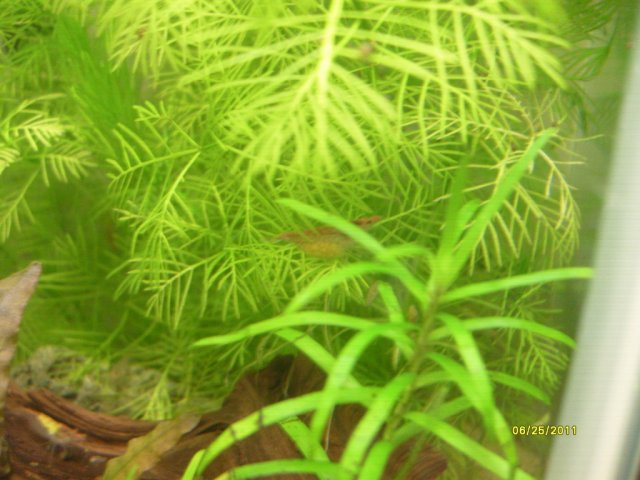 S7301056.jpg