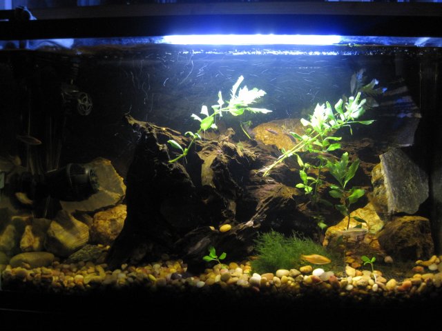 IMG_1727.JPG IMG_1727.JPG