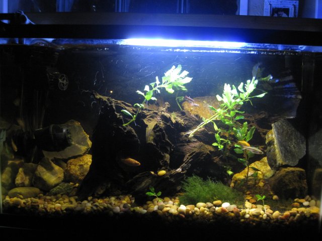 IMG_1730.JPG IMG_1730.JPG