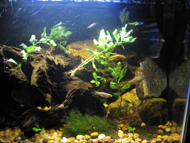 IMG_1729.JPG IMG_1729.JPG