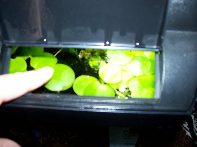 100_1721.JPG