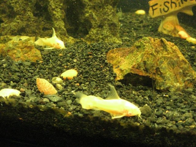 IMG_0040.JPG