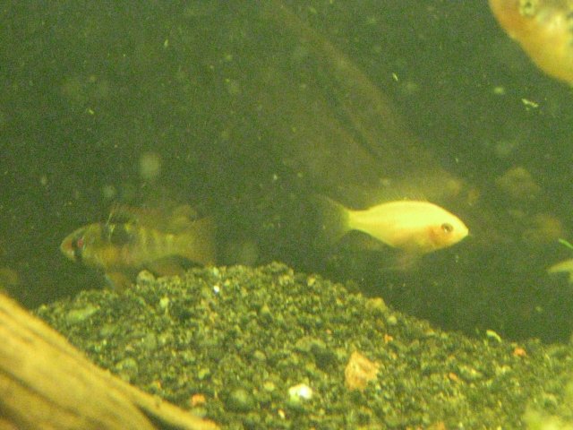 IMG_0052.JPG