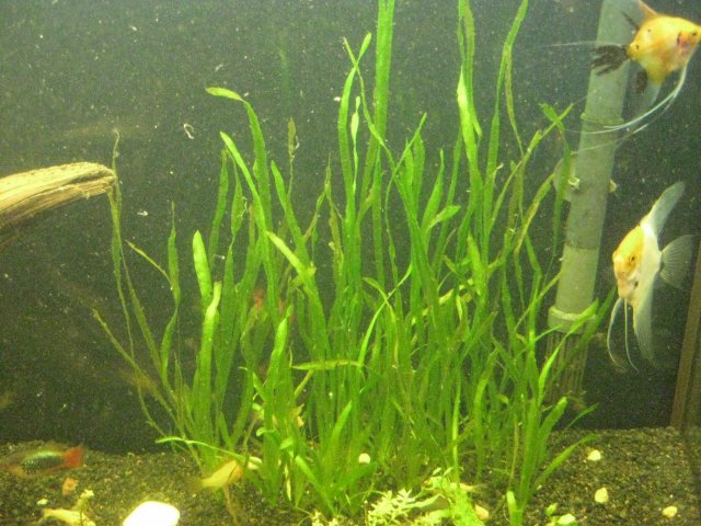 IMG_0054.JPG