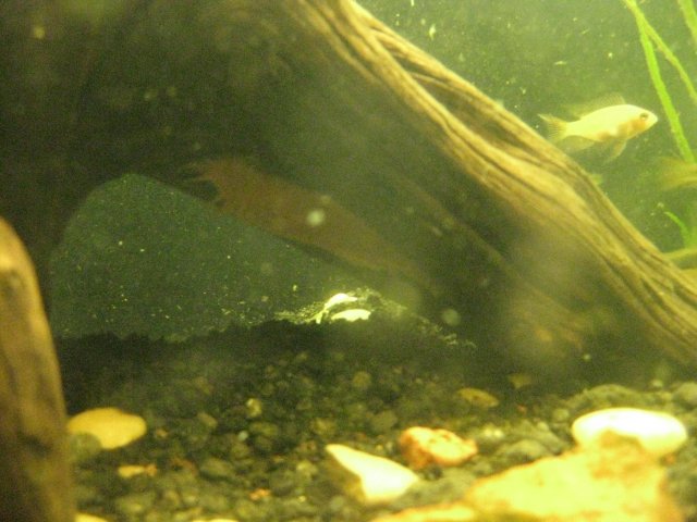 IMG_0037.JPG