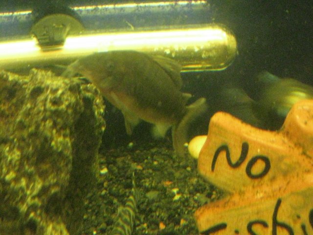 IMG_0058.JPG