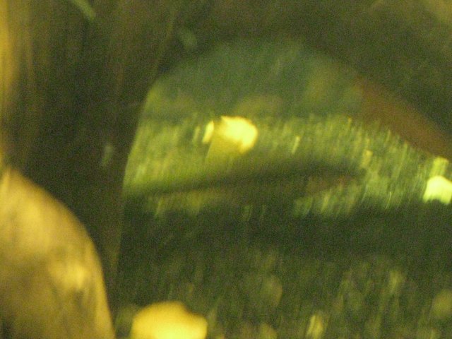 IMG_0059.JPG