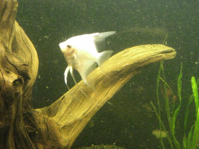 IMG_0045.JPG