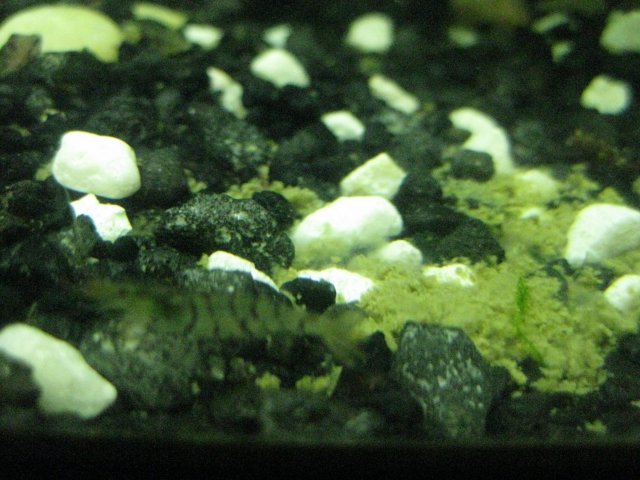 IMG_0069.JPG