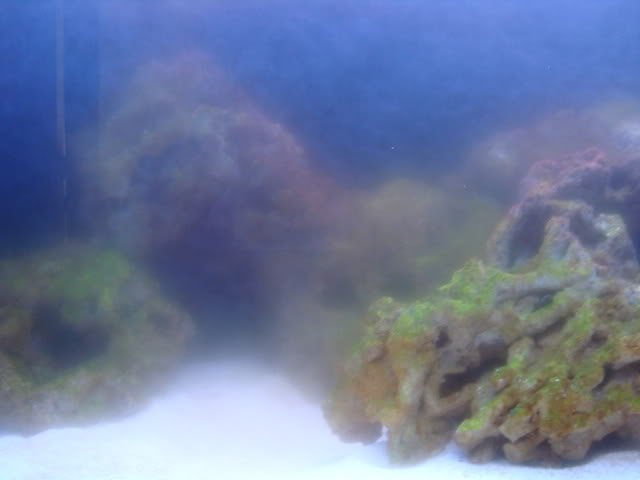 tank042.jpg