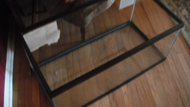 DSCF0579.JPG