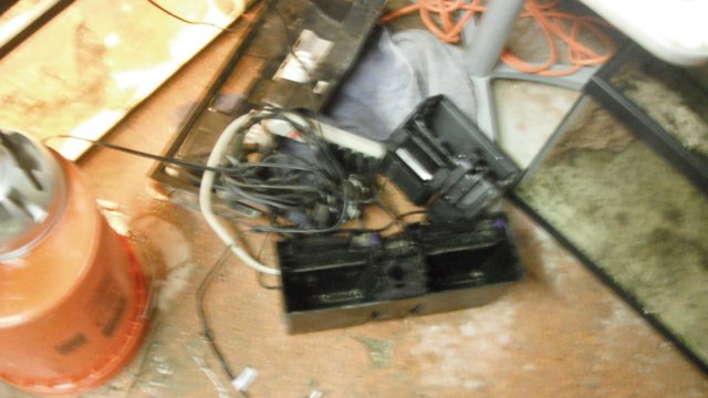 DSCF0590.JPG