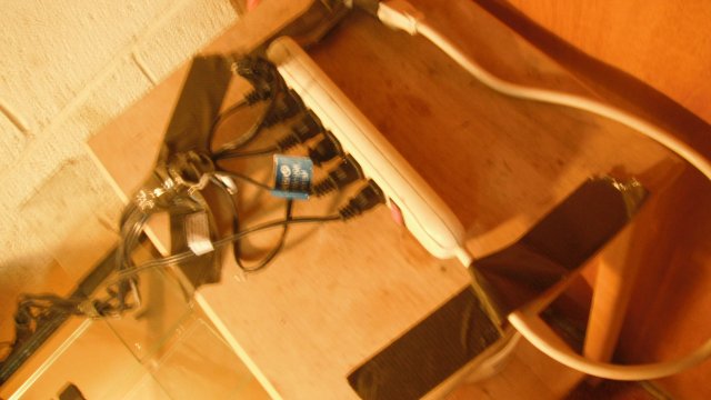DSCF0598.JPG